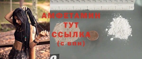 сатива Вяземский