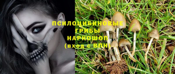 apvp Верхний Тагил