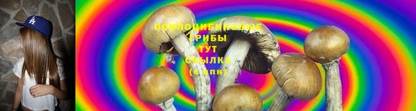 гашик Волоколамск