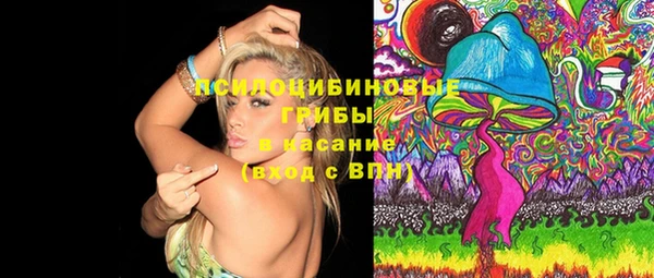 сатива Вяземский
