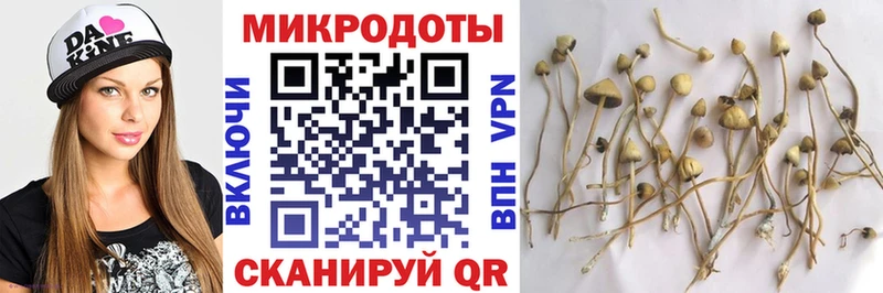 Псилоцибиновые грибы прущие грибы  сколько стоит  Выборг 